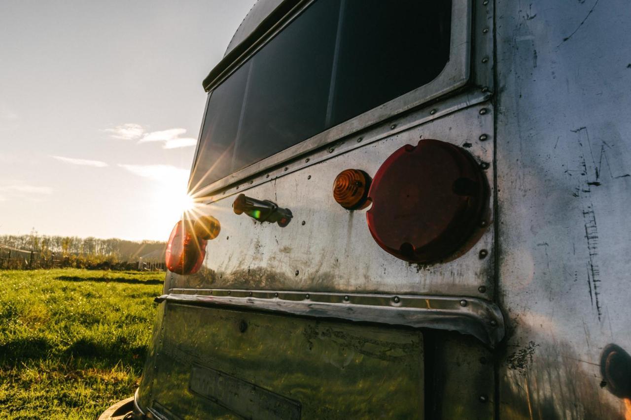 Silver Airstream Glamping & Rental Chichester Exterior photo